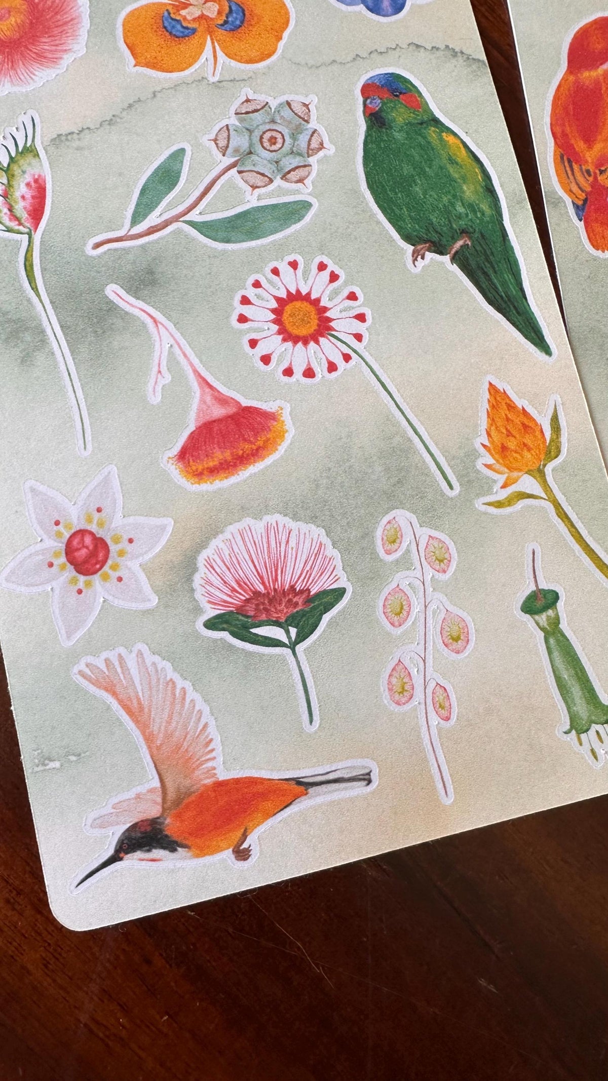 Australian Native Bird & Wildflower Sticker Sheets – Two Sheet Set | Wild Bloom | Matte Kiss Cut