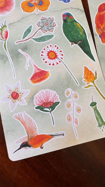 Australian Native Bird & Wildflower Sticker Sheets – Two Sheet Set | Wild Bloom | Matte Kiss Cut