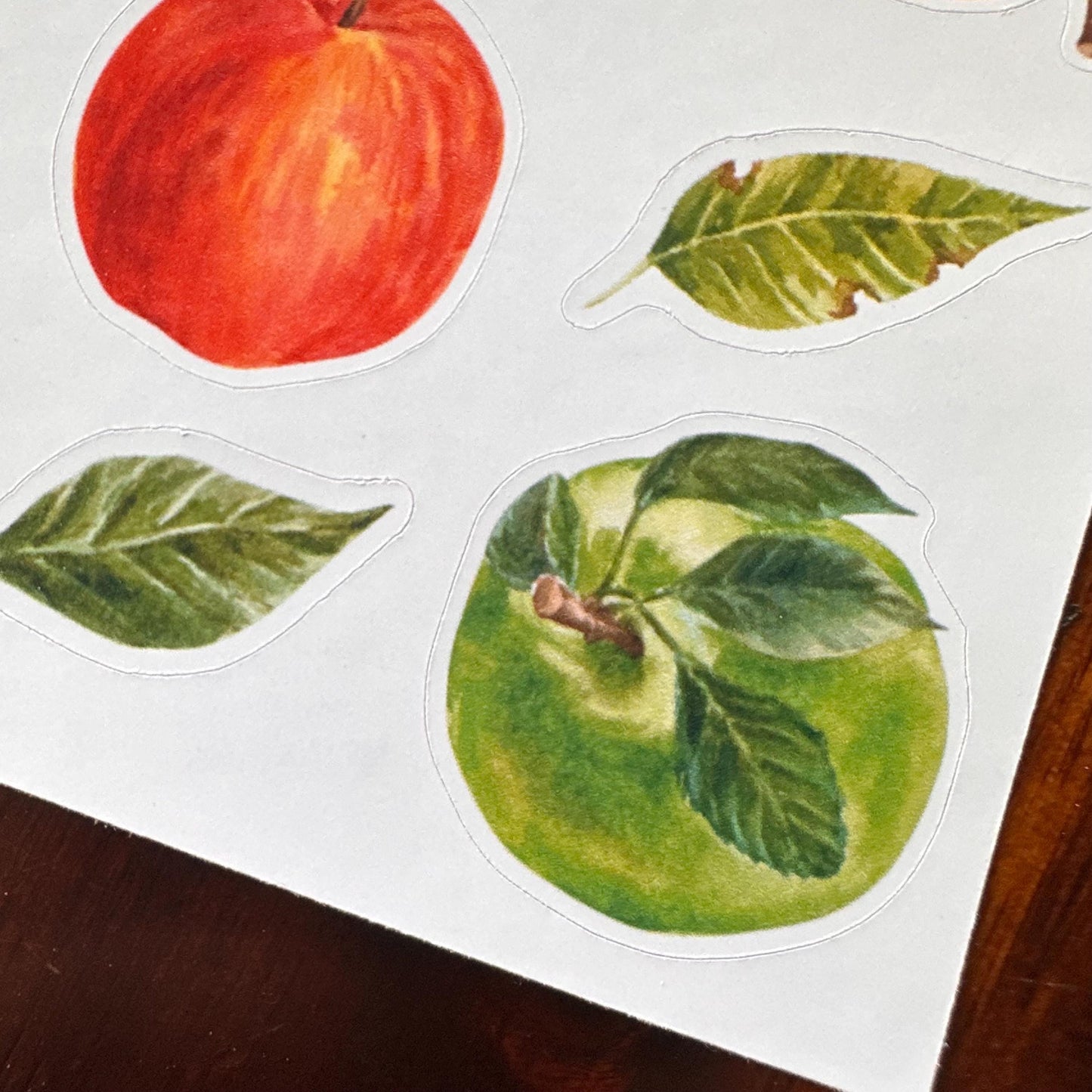 Apple Sticker Sheet – 13 Watercolour Fruit Stickers | Glossy Kiss Cut | Kitchen Garden