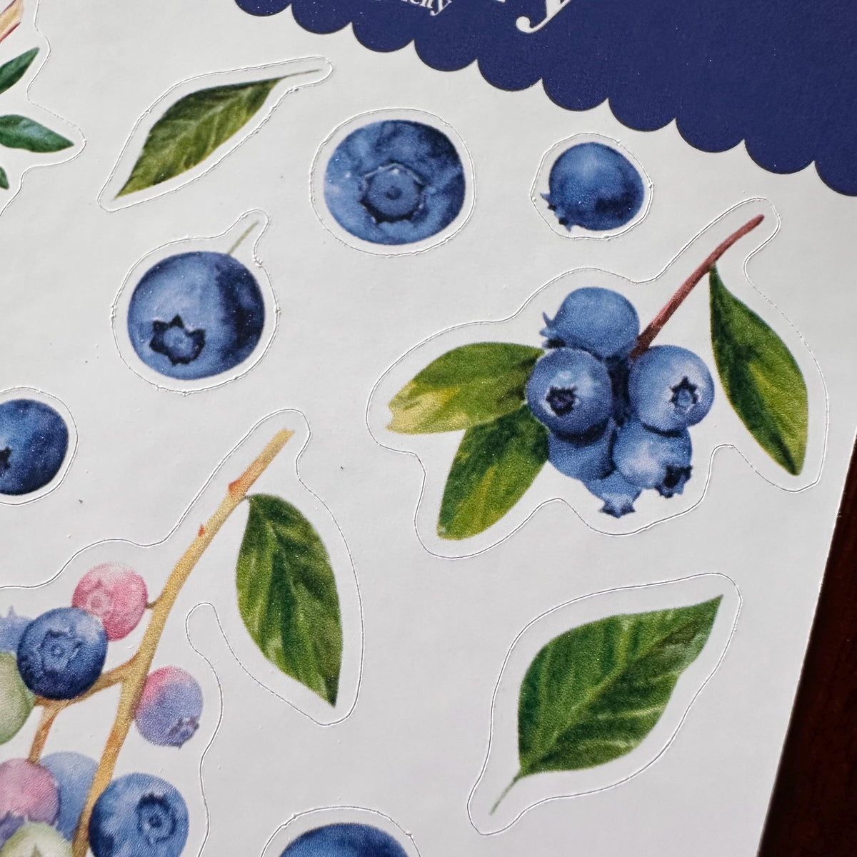 Blueberry Sticker Sheet – 27 Watercolour Fruit Stickers | Glossy Kiss Cut | Kitchen Garden