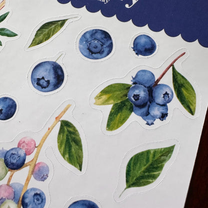 Blueberry Sticker Sheet – 27 Watercolour Fruit Stickers | Glossy Kiss Cut | Kitchen Garden