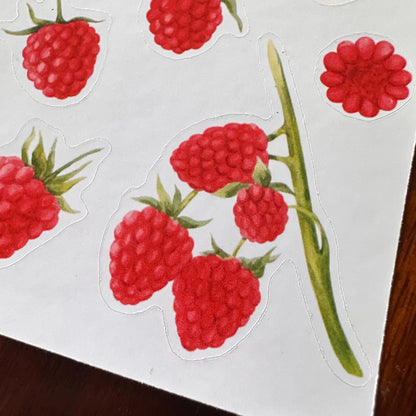 Raspberry Sticker Sheet – 13 Stickers | Glossy Kiss Cut | Kitchen Garden