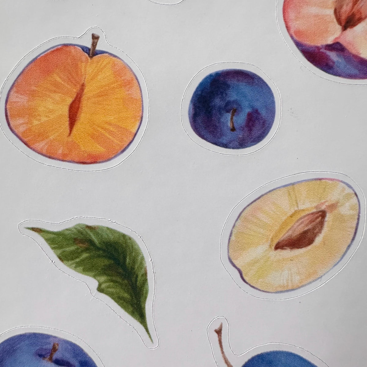 Plum Sticker Sheet – 13 Watercolour Fruit Stickers | Glossy Kiss Cut | Kitchen Garden