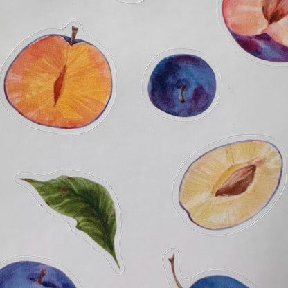 Plum Sticker Sheet – 13 Watercolour Fruit Stickers | Glossy Kiss Cut | Kitchen Garden