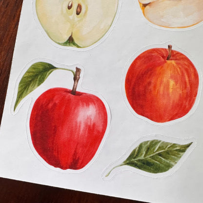 Apple Sticker Sheet – 13 Watercolour Fruit Stickers | Glossy Kiss Cut | Kitchen Garden