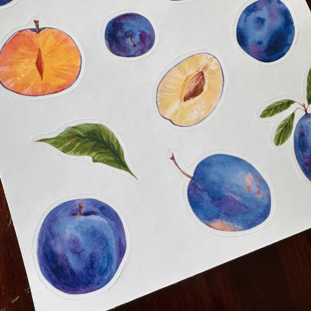 Plum Sticker Sheet – 13 Watercolour Fruit Stickers | Glossy Kiss Cut | Kitchen Garden
