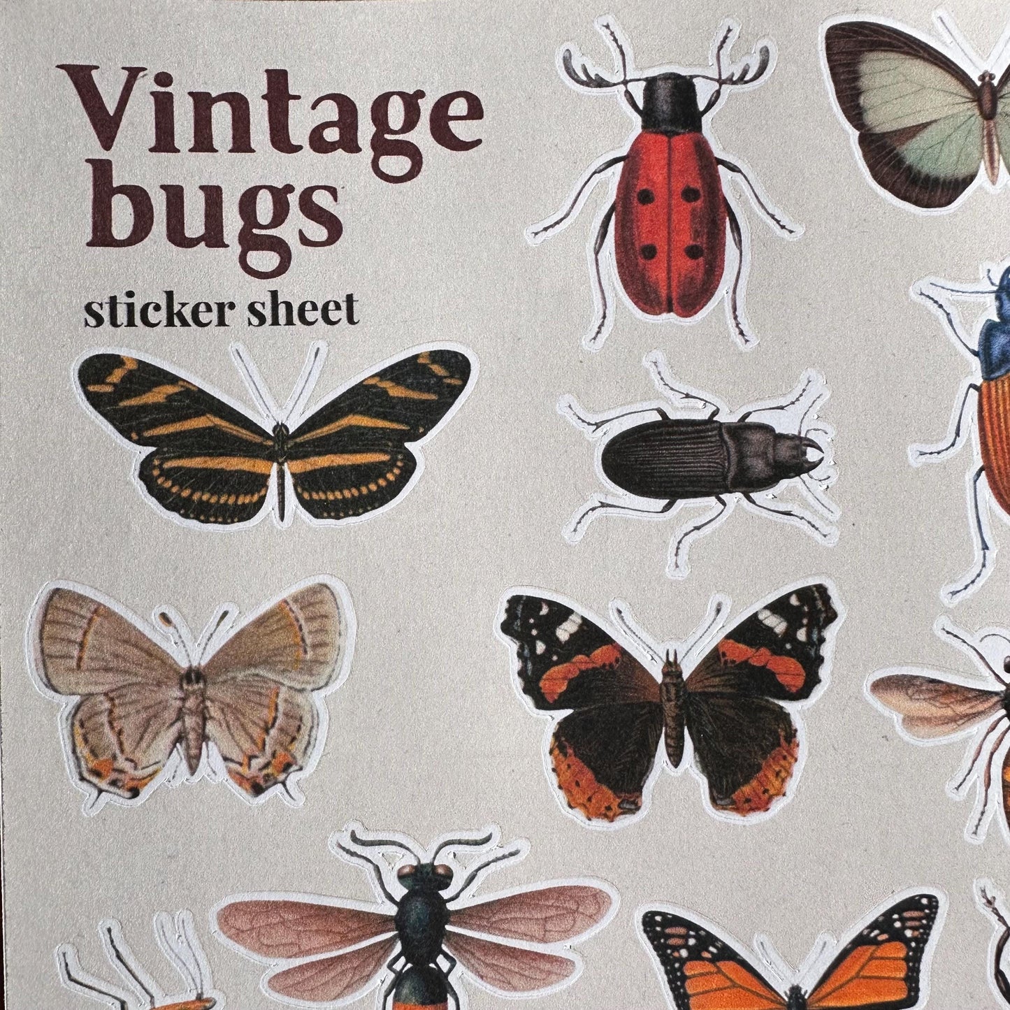 Insect Sticker Sheet – 17 Vintage Bug Stickers | Butterfly, Beetle & Moth | Matte Kiss Cut