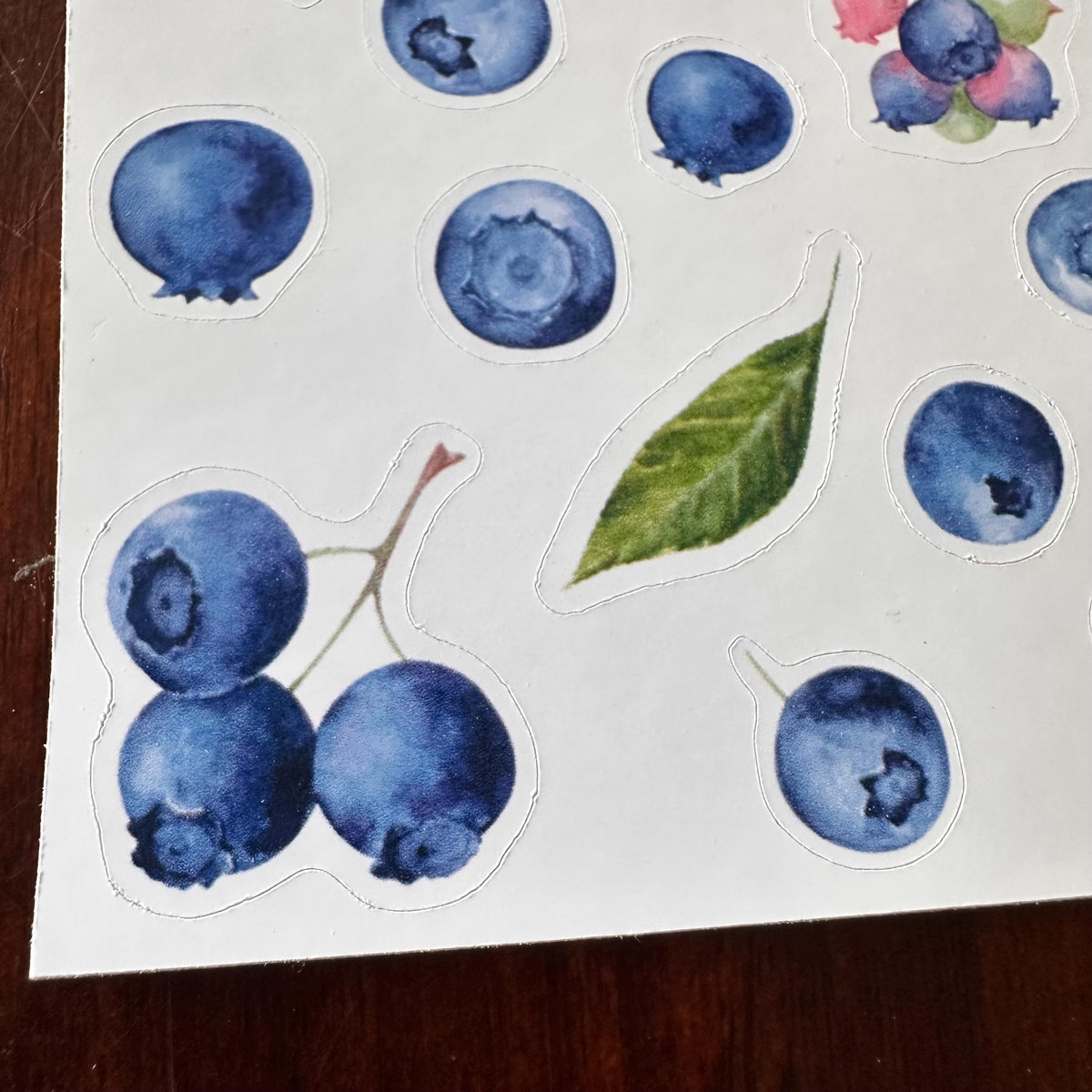 Blueberry Sticker Sheet – 27 Watercolour Fruit Stickers | Glossy Kiss Cut | Kitchen Garden