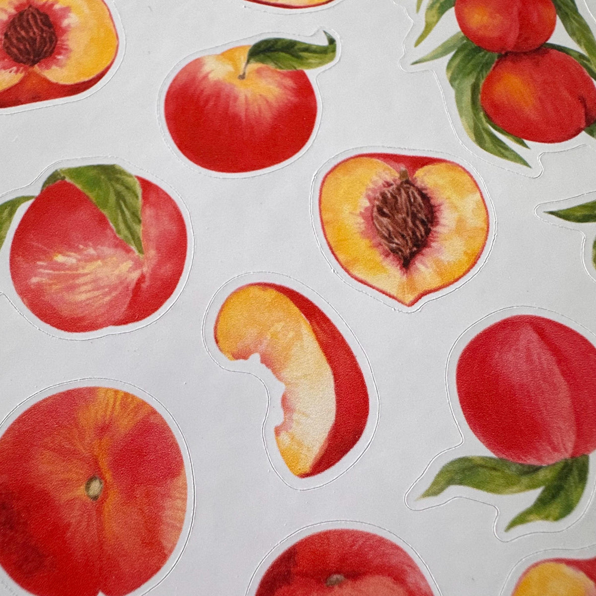 Peach Sticker Sheet – 18 Watercolour Fruit Stickers | Glossy Kiss Cut | Kitchen Garden