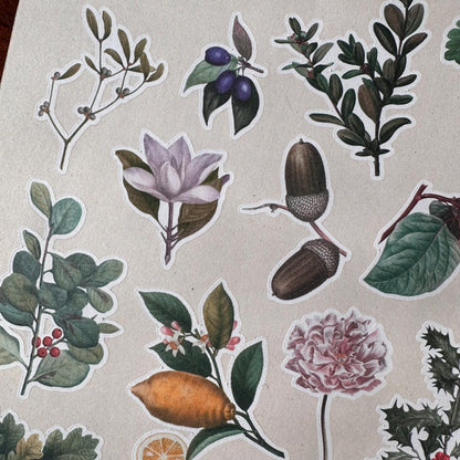 Vintage Botanical Sticker Sheet – 15 Earthy Plant Stickers | Leaf & Foliage | Matte Kiss Cut