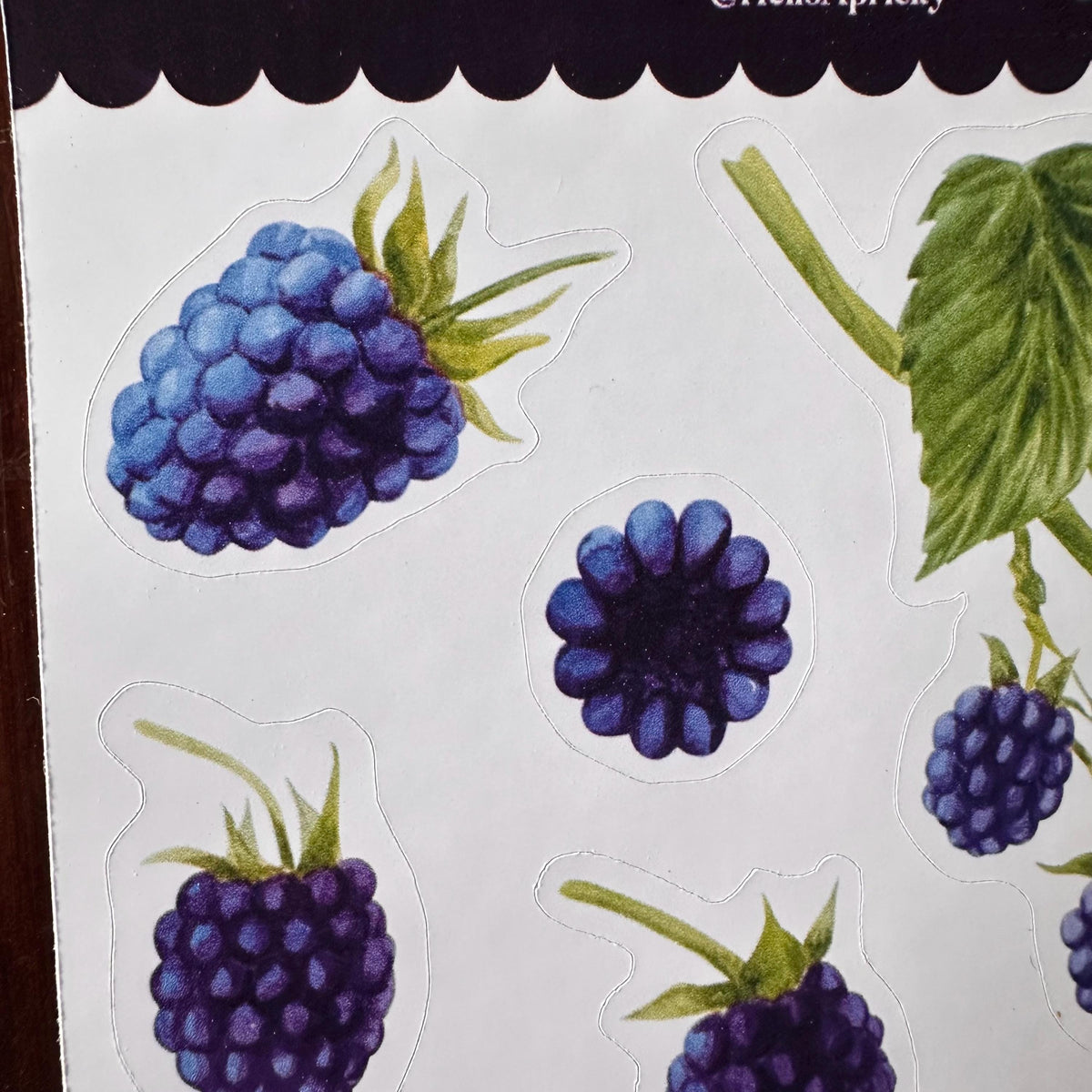Blackberry Sticker Sheet – 13 Watercolour Fruit Stickers | Glossy Kiss Cut | Kitchen Garden