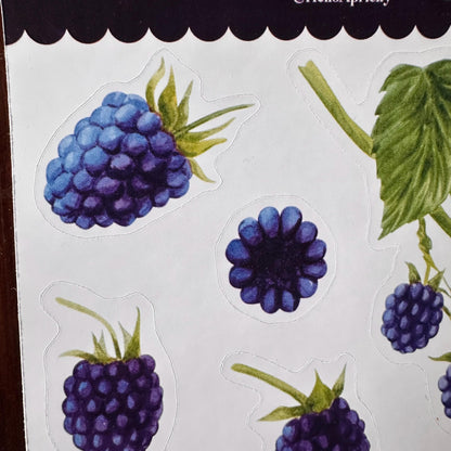 Blackberry Sticker Sheet – 13 Watercolour Fruit Stickers | Glossy Kiss Cut | Kitchen Garden