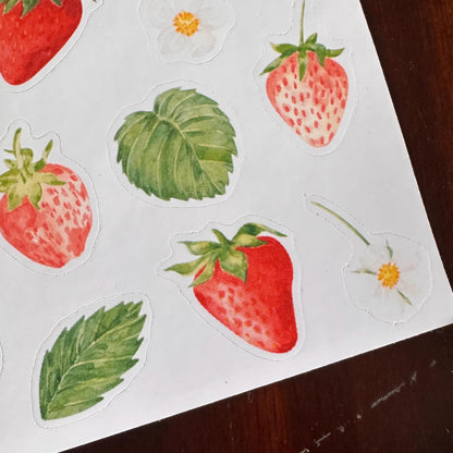 Strawberry Sticker Sheet – 17 Watercolour Fruit Stickers | Glossy Kiss Cut | Kitchen Garden
