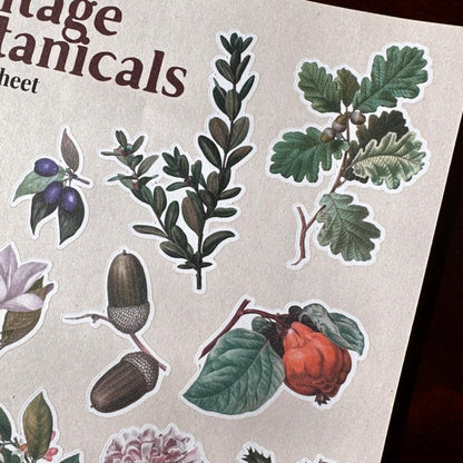 Vintage Botanical Sticker Sheet – 15 Earthy Plant Stickers | Leaf & Foliage | Matte Kiss Cut