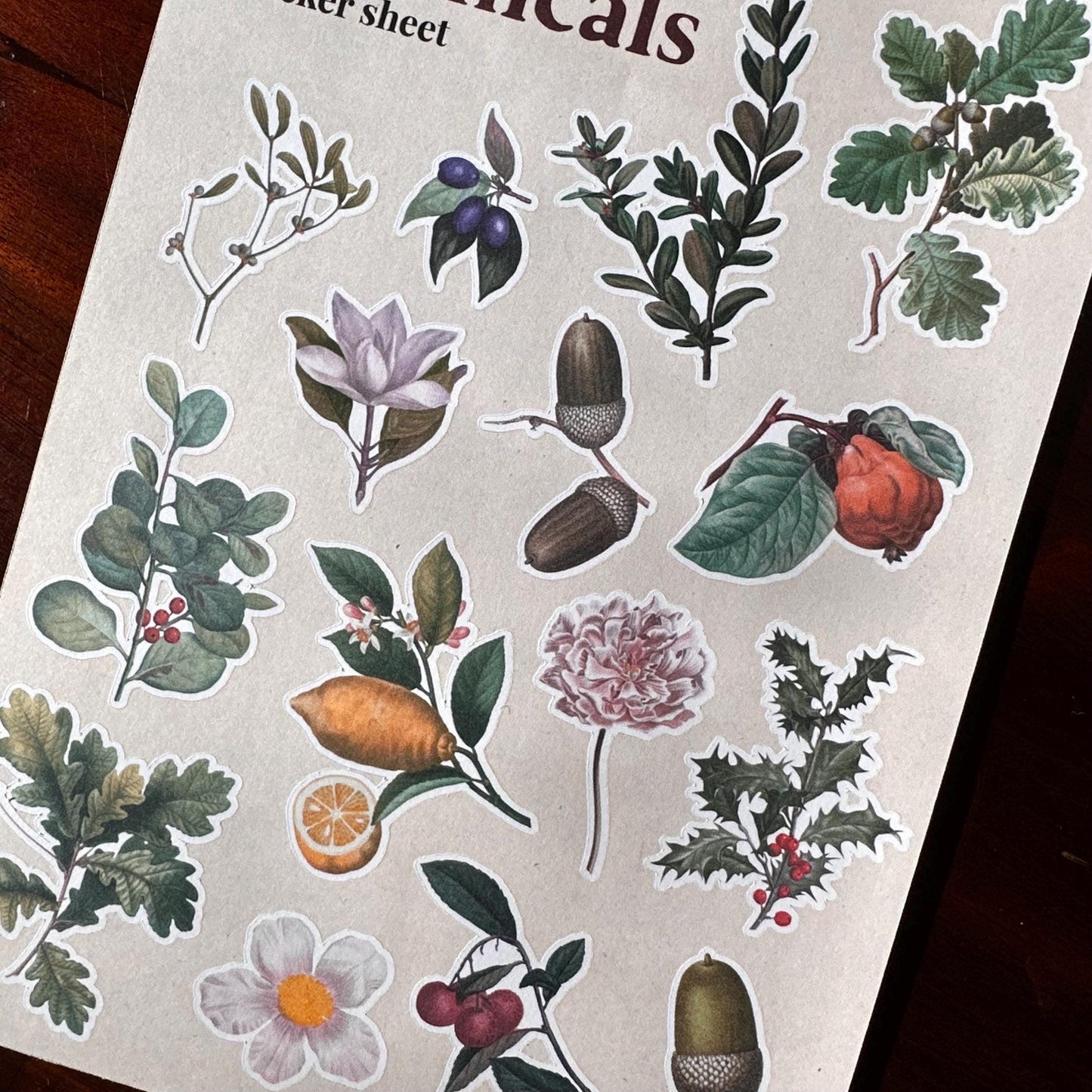 Vintage Botanical Sticker Sheet – 15 Earthy Plant Stickers | Leaf & Foliage | Matte Kiss Cut