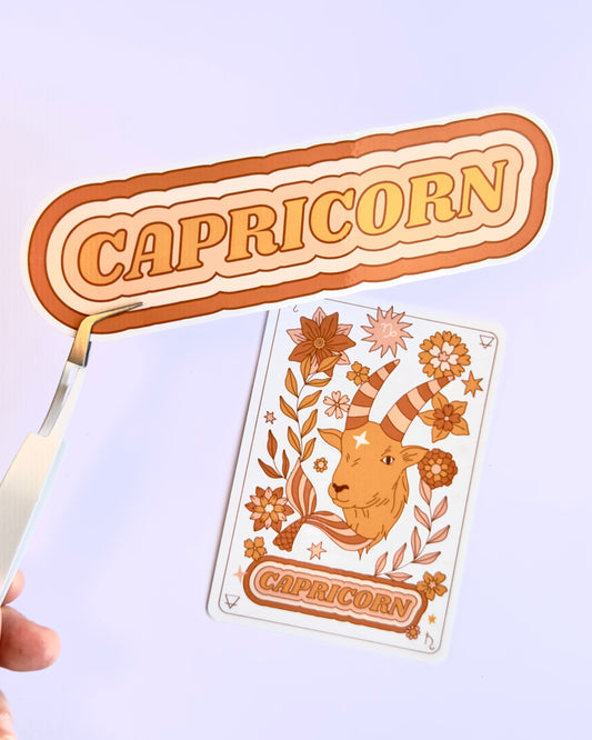Capricorn Zodiac Sticker Bundle - Peach | Star Sign Word & Tarot Card Vinyl Stickers