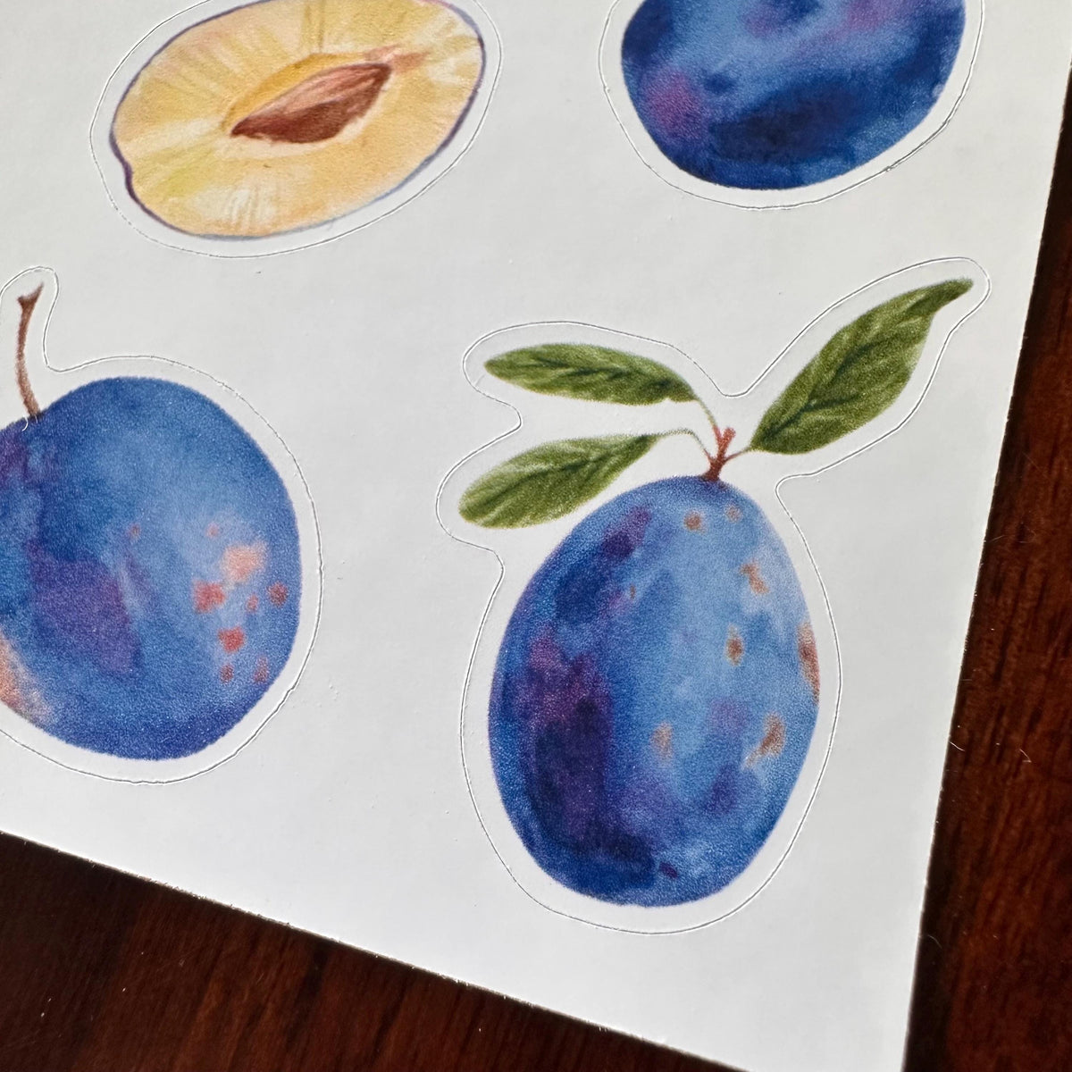 Plum Sticker Sheet – 13 Watercolour Fruit Stickers | Glossy Kiss Cut | Kitchen Garden