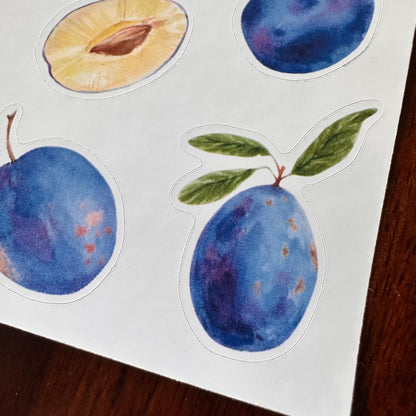 Plum Sticker Sheet – 13 Watercolour Fruit Stickers | Glossy Kiss Cut | Kitchen Garden