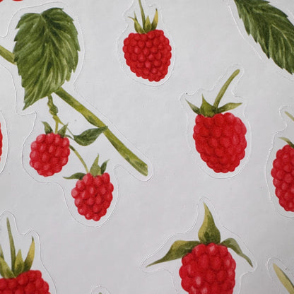 Raspberry Sticker Sheet – 13 Stickers | Glossy Kiss Cut | Kitchen Garden