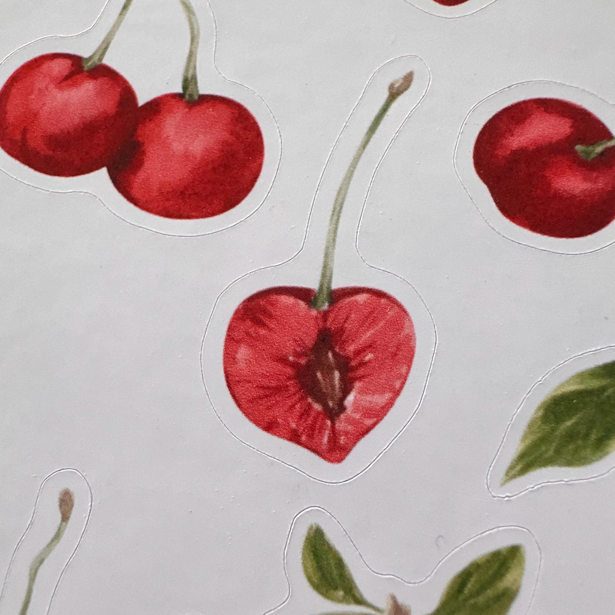 Cherry Sticker Sheet – 13 Watercolour Fruit Stickers | Glossy Kiss Cut | Kitchen Garden
