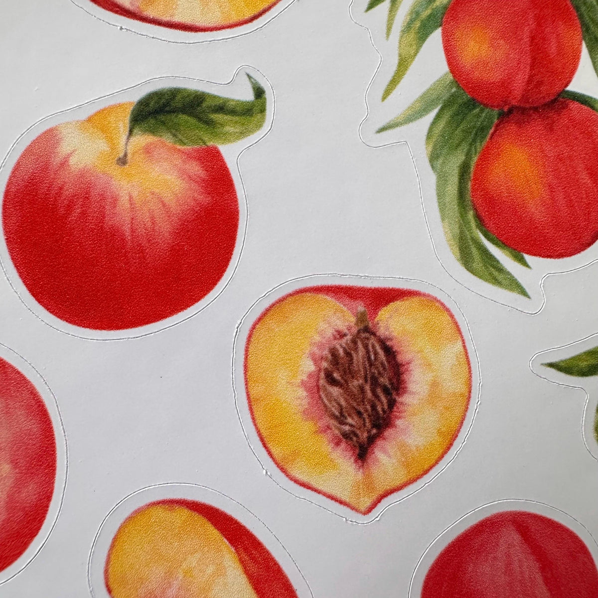 Peach Sticker Sheet – 18 Watercolour Fruit Stickers | Glossy Kiss Cut | Kitchen Garden