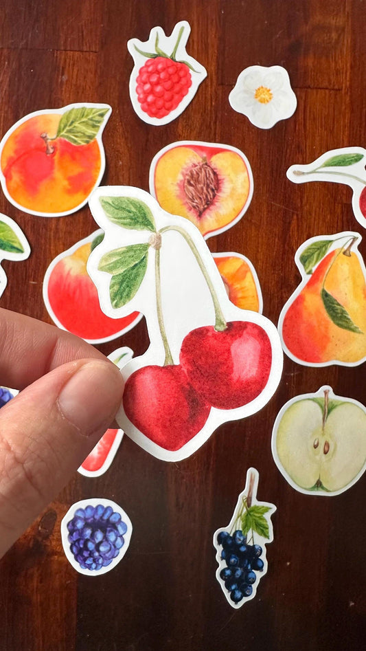 Fruit Die Cut Stickers – 16 Watercolour Vinyl Stickers | Kitchen Garden