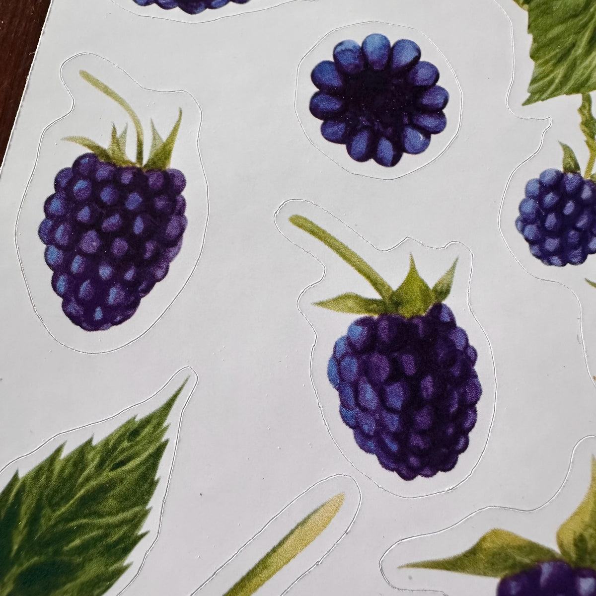Blackberry Sticker Sheet – 13 Watercolour Fruit Stickers | Glossy Kiss Cut | Kitchen Garden