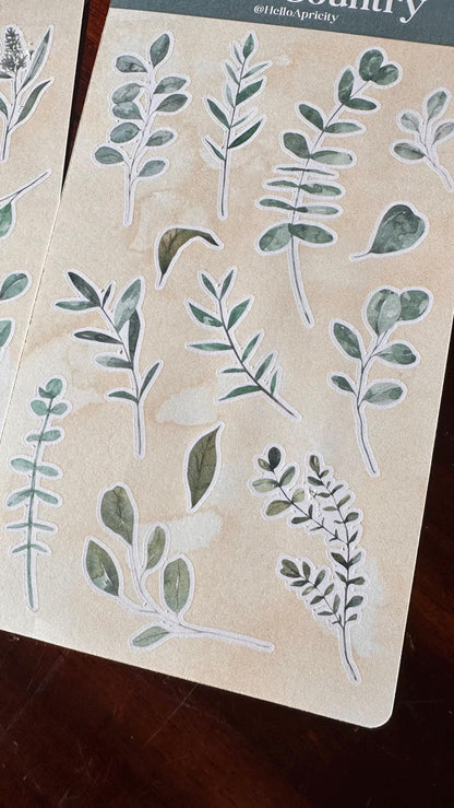 Eucalyptus Sticker Sheets – 26 Australian Native Stickers | Two Sheet Set | Koala Country