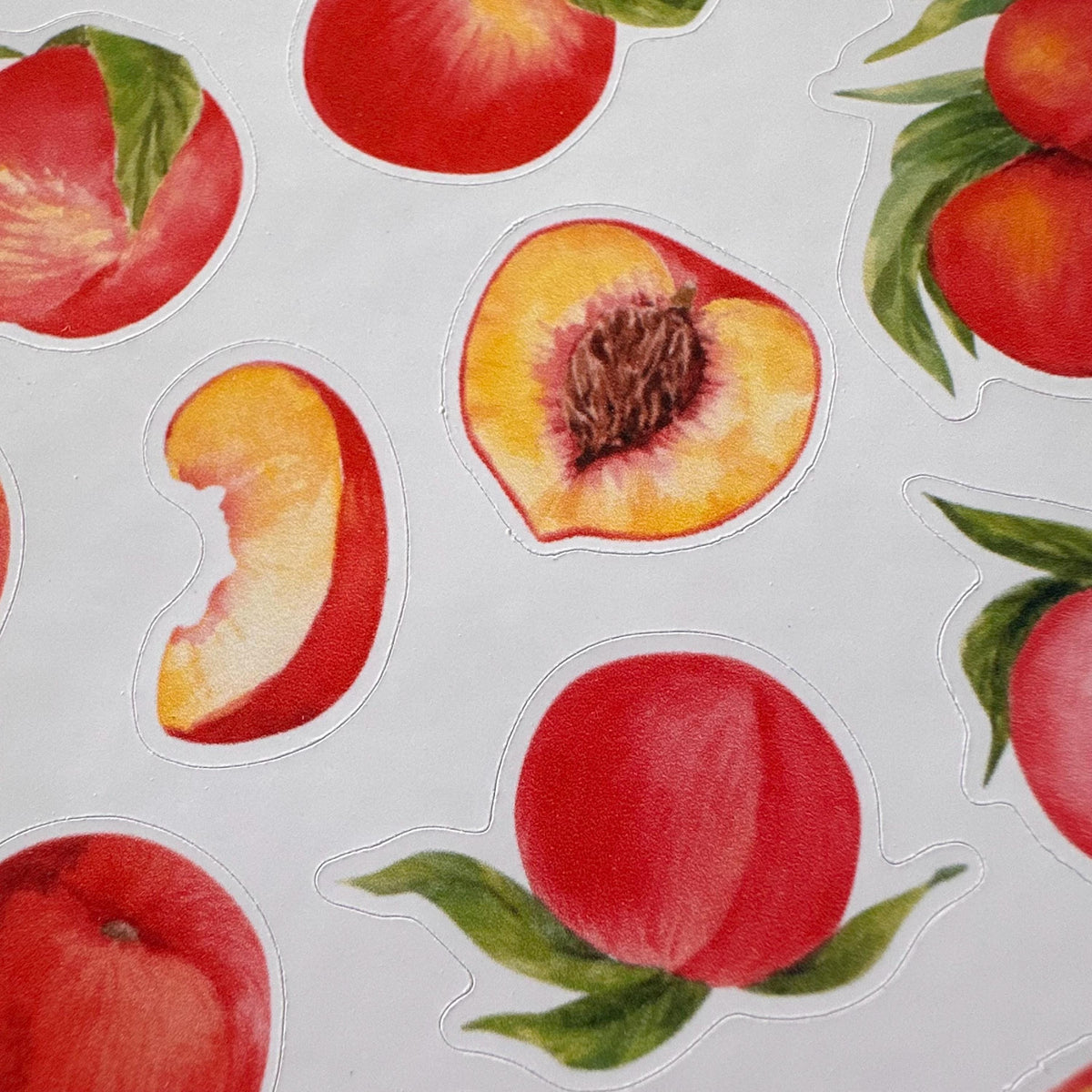 Peach Sticker Sheet – 18 Watercolour Fruit Stickers | Glossy Kiss Cut | Kitchen Garden
