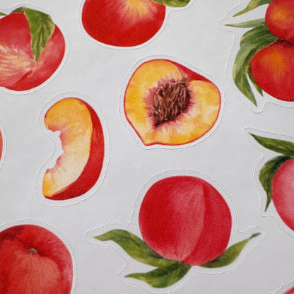 Peach Sticker Sheet – 18 Watercolour Fruit Stickers | Glossy Kiss Cut | Kitchen Garden