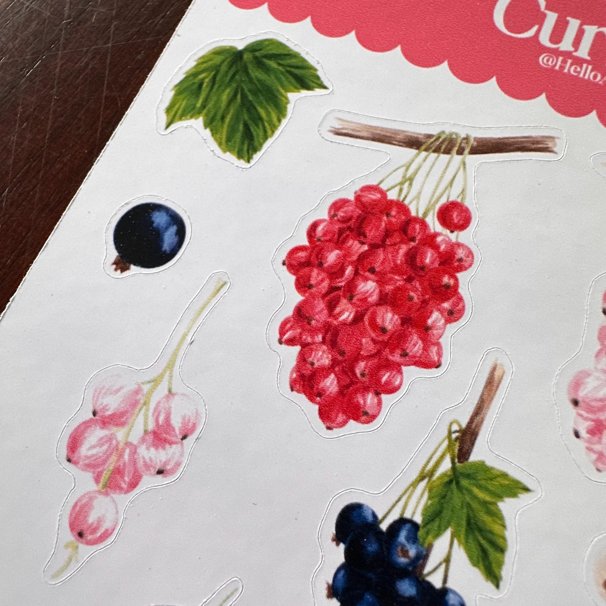 Currant Sticker Sheet – 20 Watercolour Fruit Stickers | Glossy Kiss Cut | Kitchen Garden