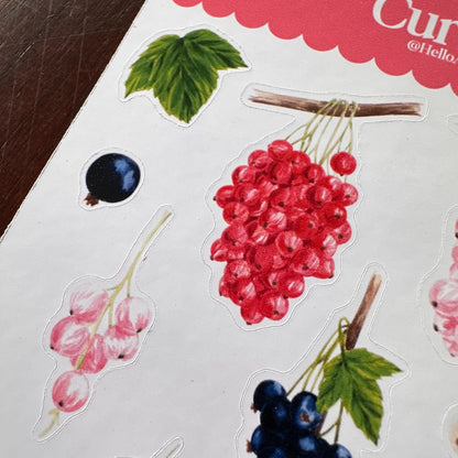 Currant Sticker Sheet – 20 Watercolour Fruit Stickers | Glossy Kiss Cut | Kitchen Garden
