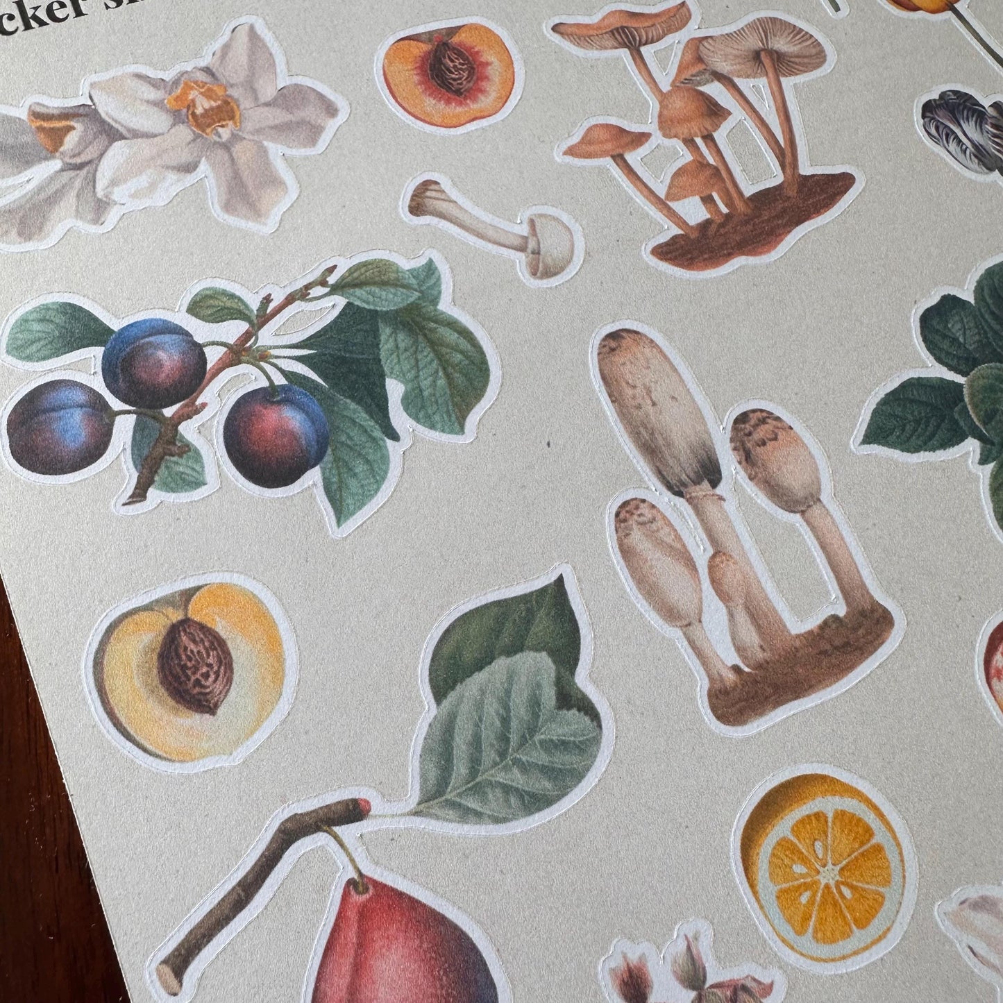 Nature Sticker Sheet – 21 Journal Stickers | Flowers, Fruit & Mushrooms | Matte Kiss Cut