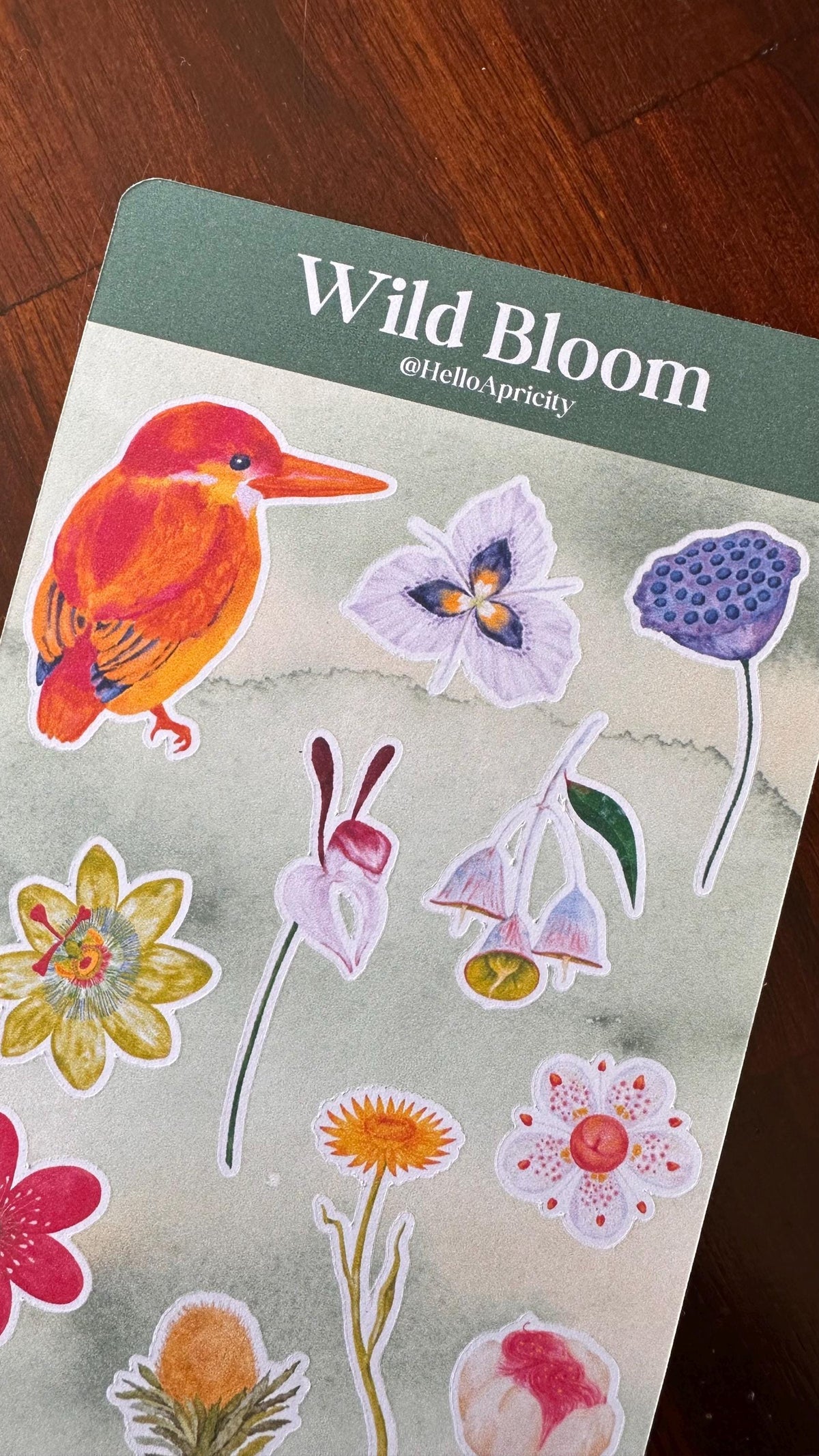 Australian Native Bird & Wildflower Sticker Sheets – Two Sheet Set | Wild Bloom | Matte Kiss Cut