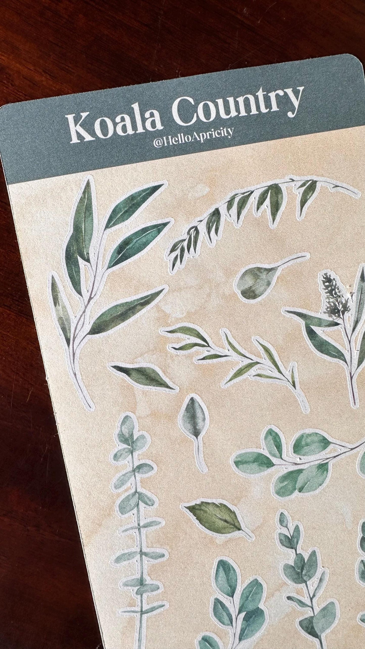 Eucalyptus Sticker Sheets – 26 Australian Native Stickers | Two Sheet Set | Koala Country
