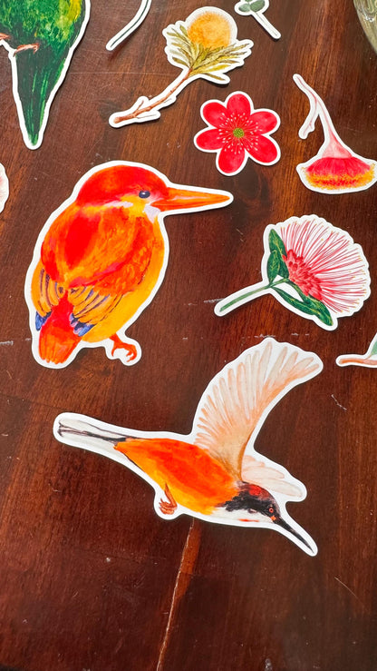 Australian Native Bird and Flower Die Cut Stickers – 15 Loose Vinyl Stickers | Wild Bloom