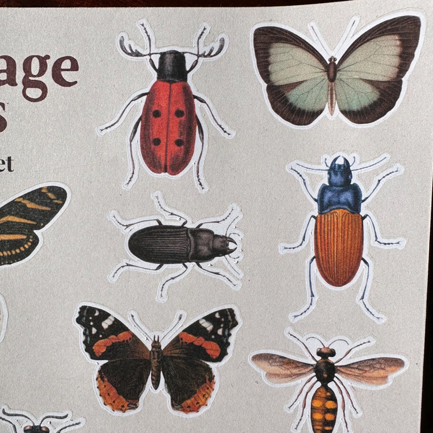 Insect Sticker Sheet – 17 Vintage Bug Stickers | Butterfly, Beetle & Moth | Matte Kiss Cut