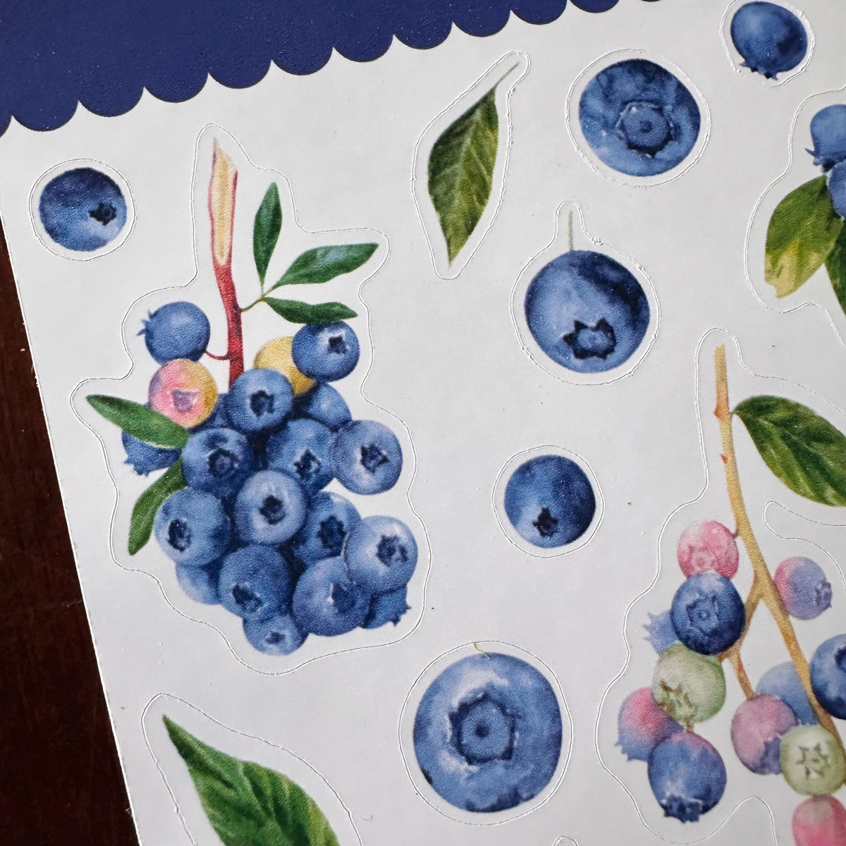 Blueberry Sticker Sheet – 27 Watercolour Fruit Stickers | Glossy Kiss Cut | Kitchen Garden