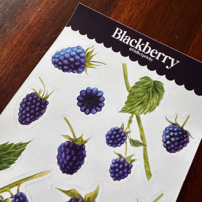 Blackberry Sticker Sheet – 13 Watercolour Fruit Stickers | Glossy Kiss Cut | Kitchen Garden