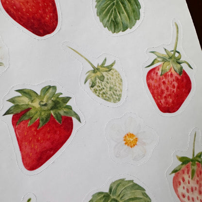 Strawberry Sticker Sheet – 17 Watercolour Fruit Stickers | Glossy Kiss Cut | Kitchen Garden