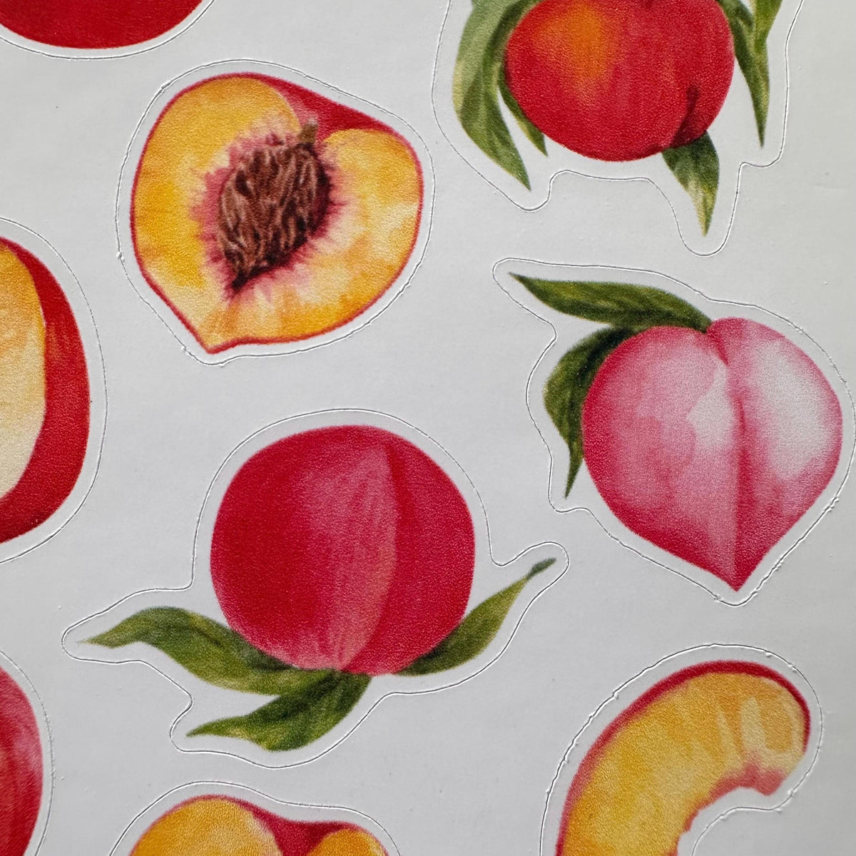Peach Sticker Sheet – 18 Watercolour Fruit Stickers | Glossy Kiss Cut | Kitchen Garden