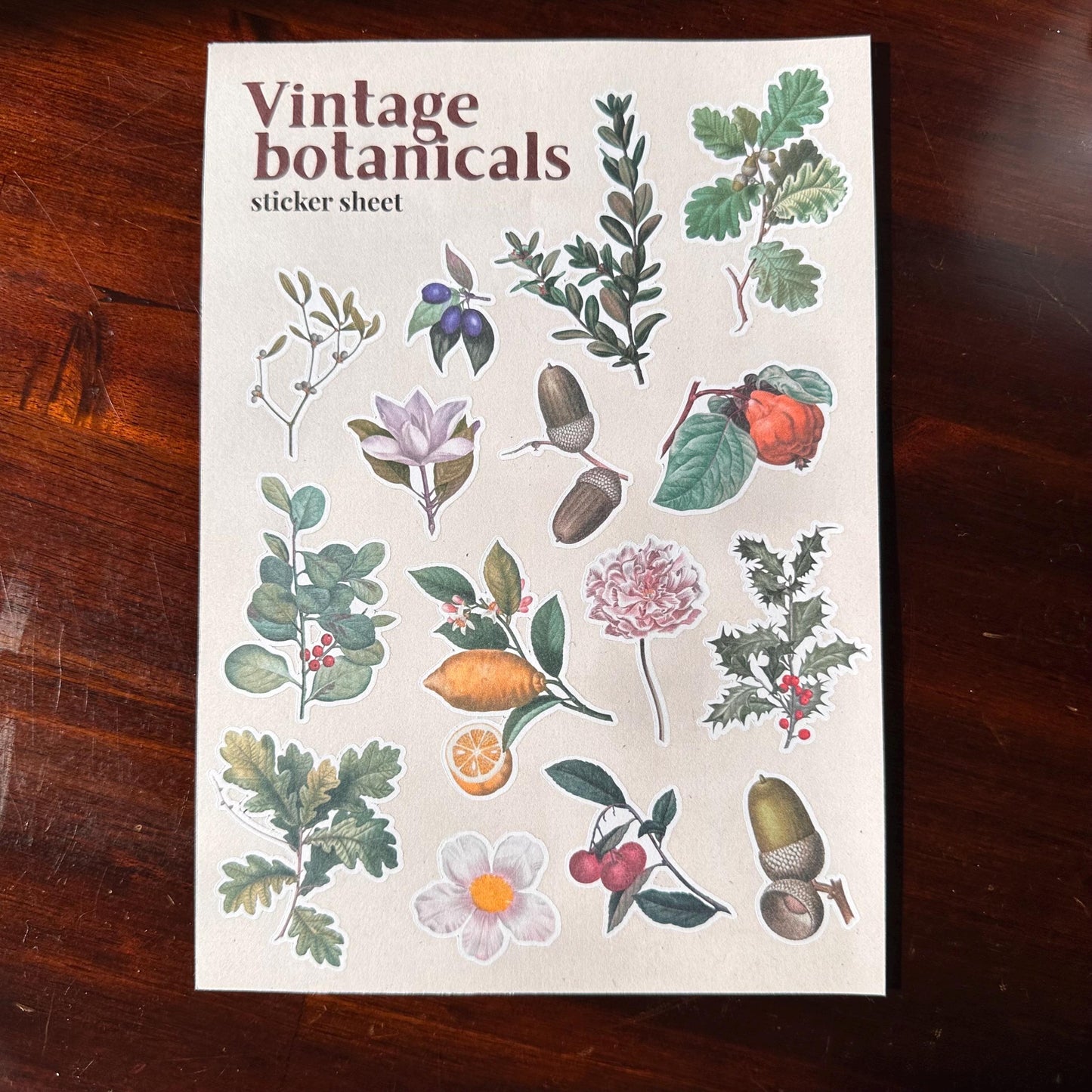 Vintage Botanical Sticker Sheet – 15 Earthy Plant Stickers | Leaf & Foliage | Matte Kiss Cut