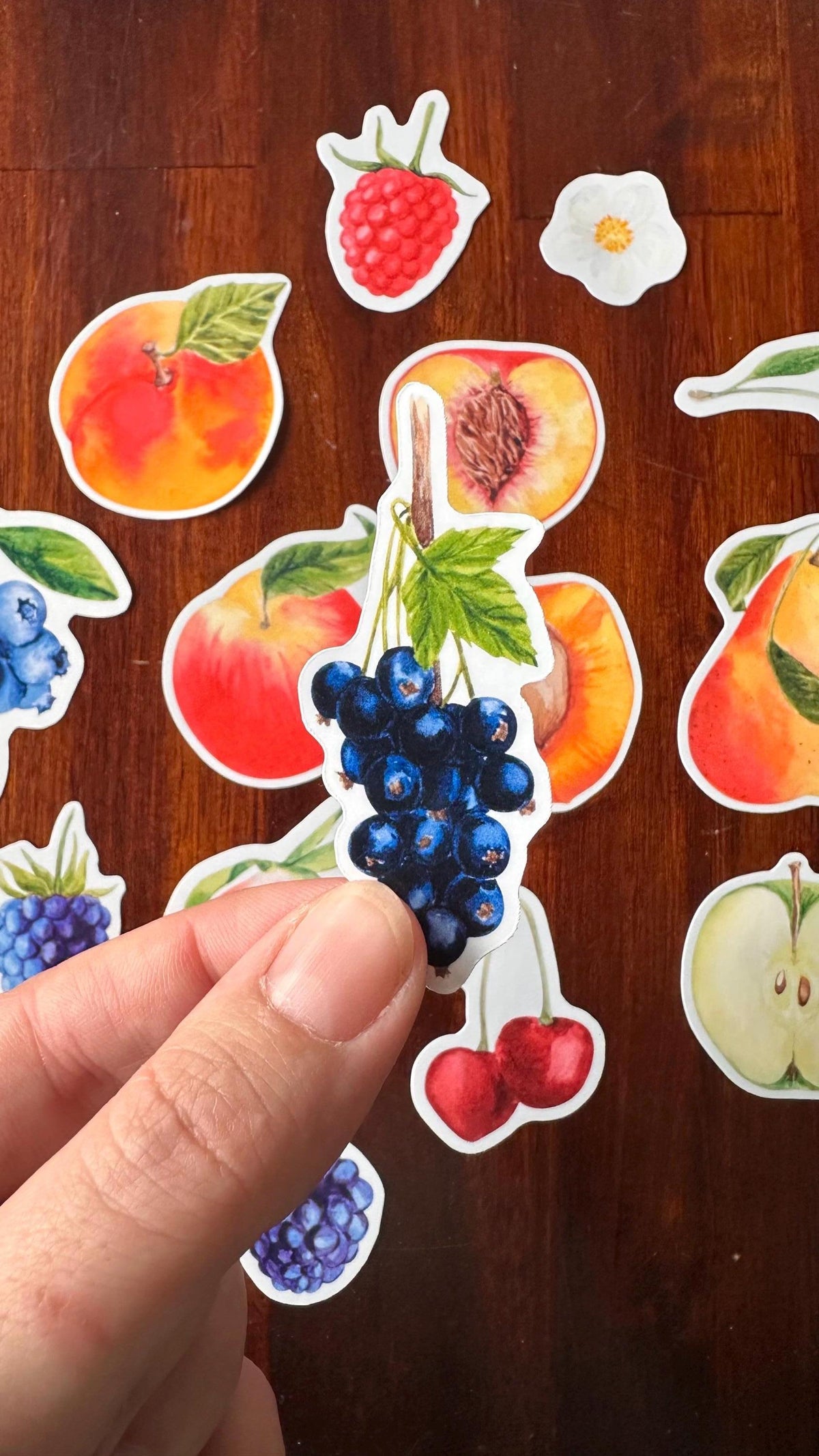 Fruit Die Cut Stickers – 16 Watercolour Vinyl Stickers | Kitchen Garden