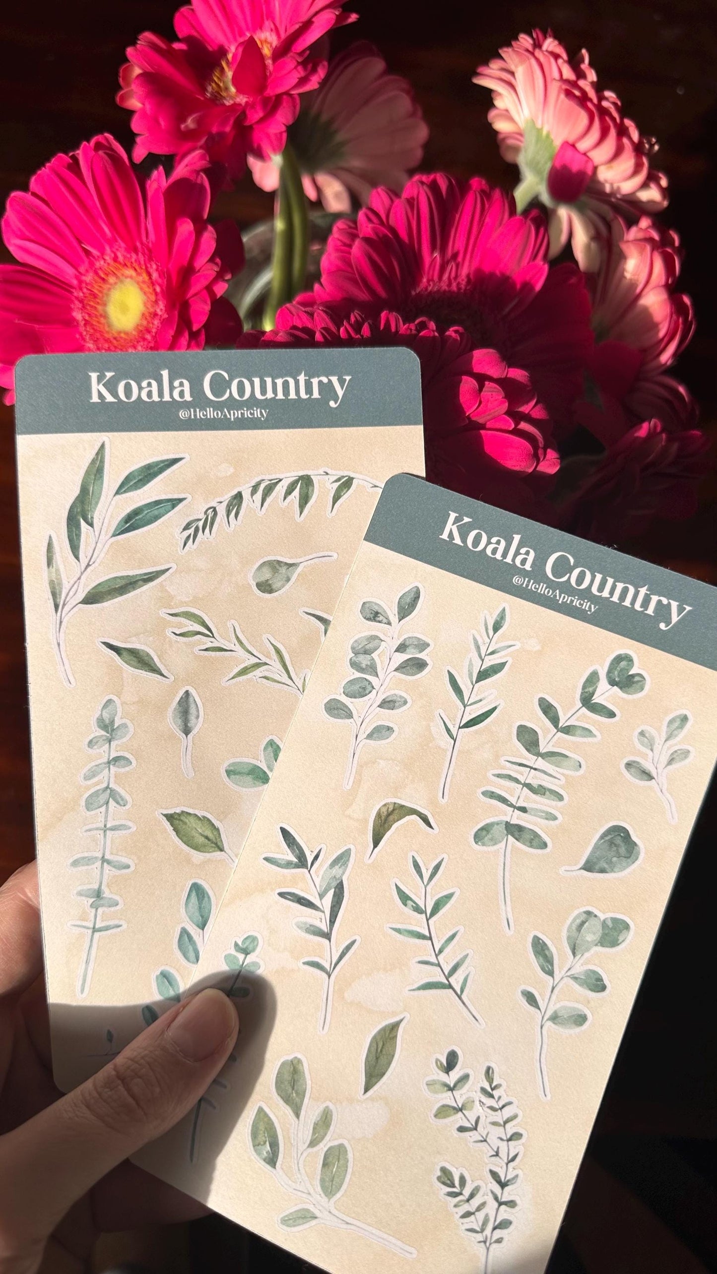 Eucalyptus Sticker Sheets – 26 Australian Native Stickers | Two Sheet Set | Koala Country