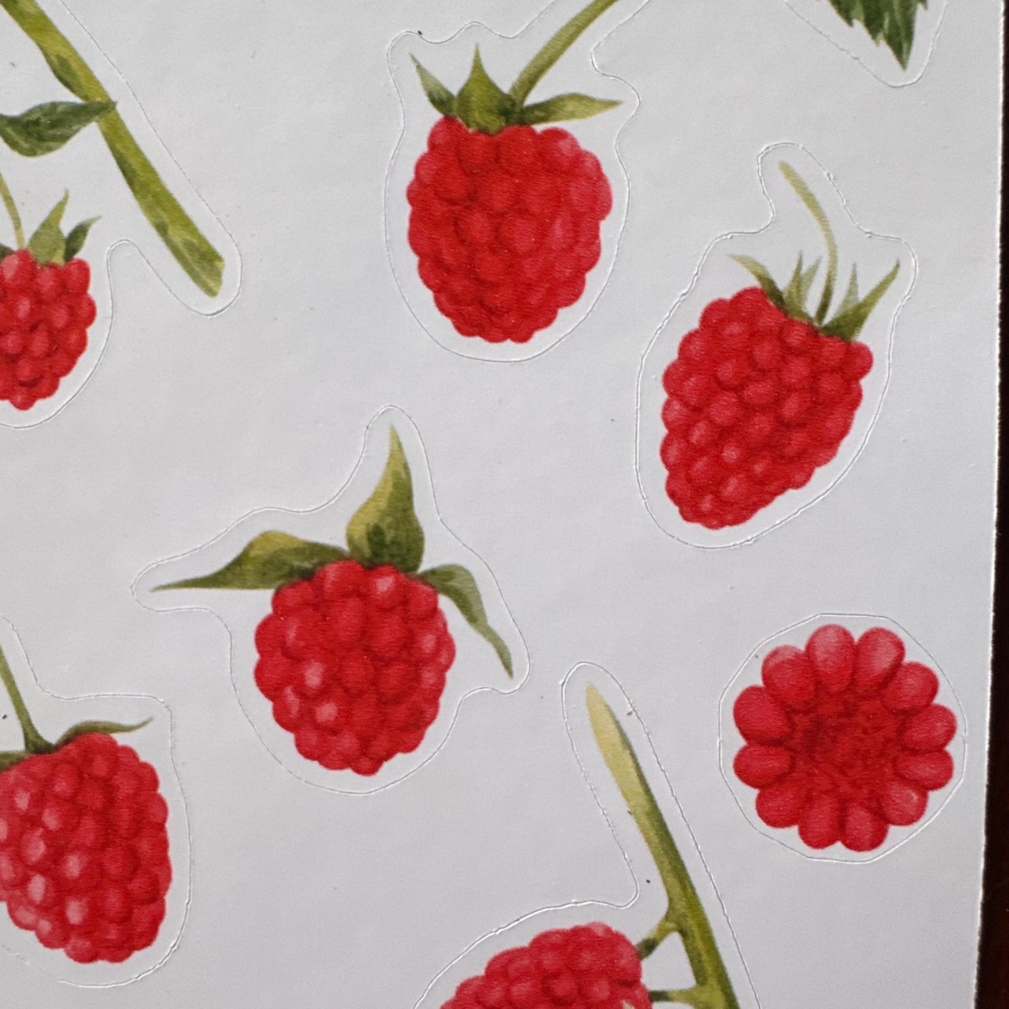 Raspberry Sticker Sheet – 13 Stickers | Glossy Kiss Cut | Kitchen Garden