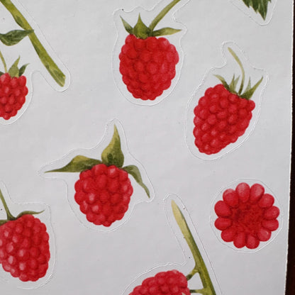 Raspberry Sticker Sheet – 13 Stickers | Glossy Kiss Cut | Kitchen Garden
