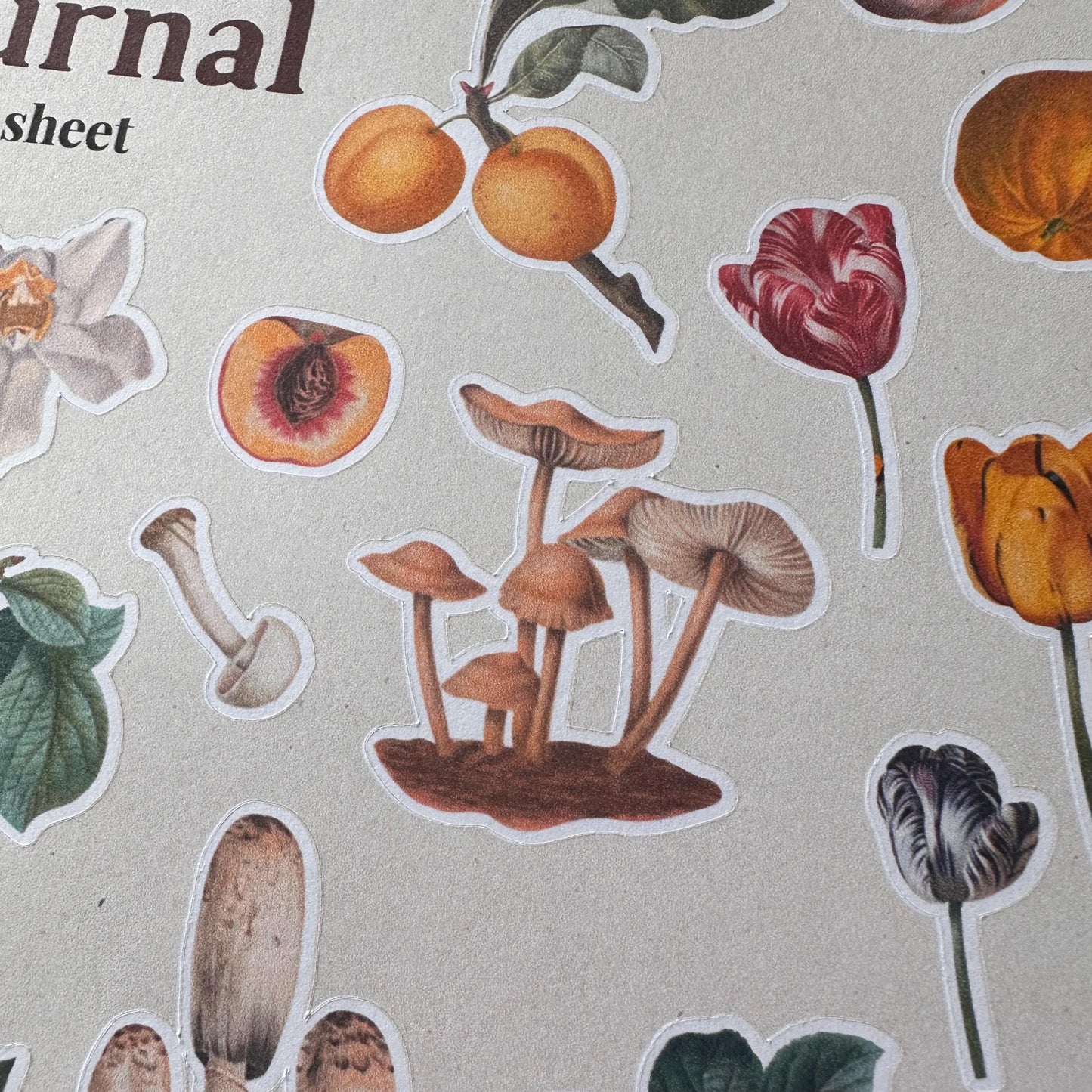 Nature Sticker Sheet – 21 Journal Stickers | Flowers, Fruit & Mushrooms | Matte Kiss Cut