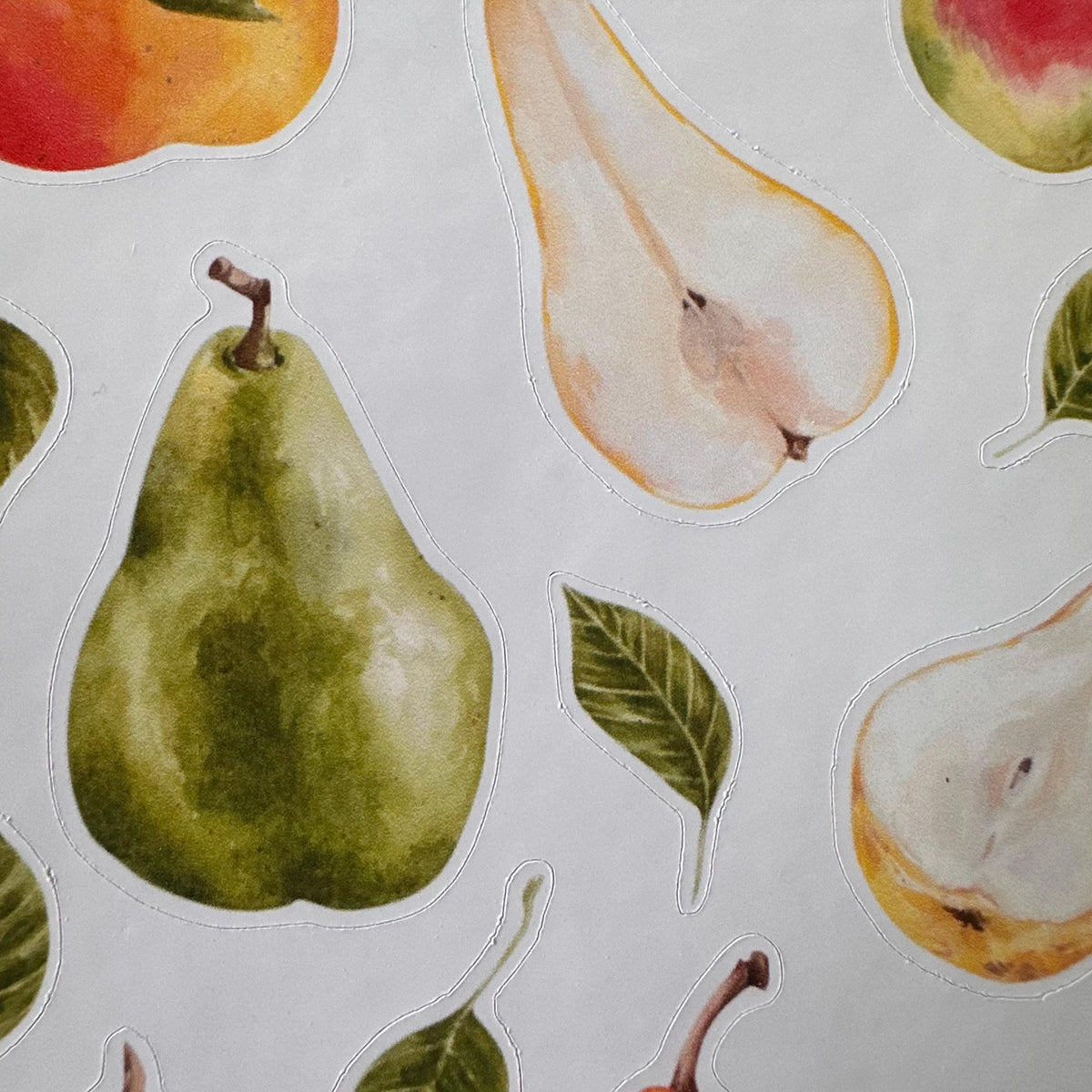 Pear Sticker Sheet – 16 Watercolour Fruit Stickers | Glossy Kiss Cut | Kitchen Garden