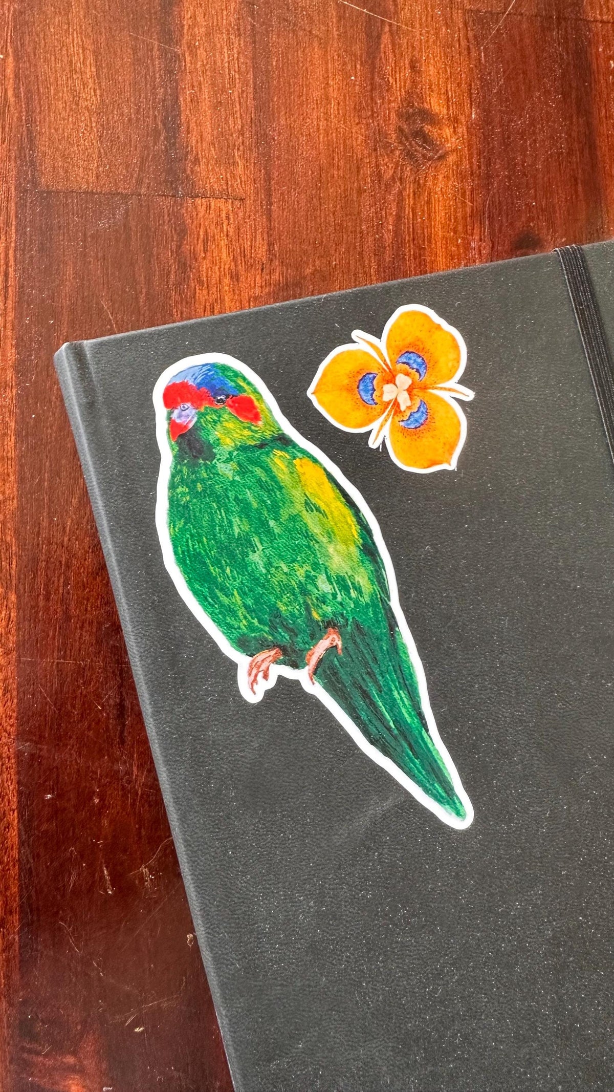 Australian Native Bird and Flower Die Cut Stickers – 15 Loose Vinyl Stickers | Wild Bloom
