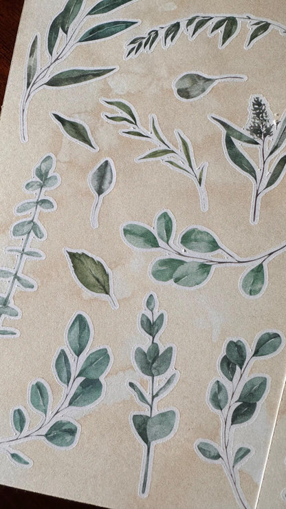 Eucalyptus Sticker Sheets – 26 Australian Native Stickers | Two Sheet Set | Koala Country